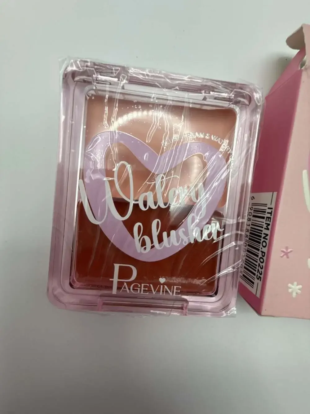 Pagevine Watery Blusher Cream & Watery Blush Duo in Sunshine Fig